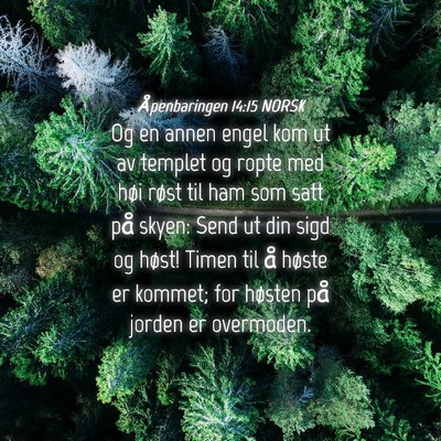 Picture 04 - Åpenbaringen 14:15 NORSK - Og en annen engel kom ut av templet og ropte med - Bible Verse Picture