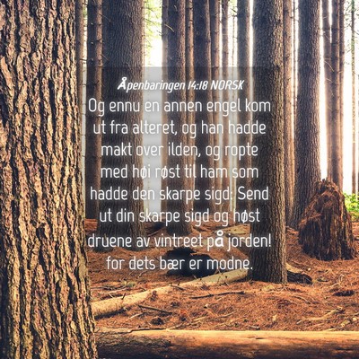 Picture 04 - Åpenbaringen 14:18 NORSK - Og ennu en annen engel kom ut fra alteret, og han - Bible Verse Picture