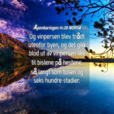 Picture 04 - Åpenbaringen 14:20 NORSK - Og vinpersen blev trådt utenfor byen, og det - Bible Verse Picture