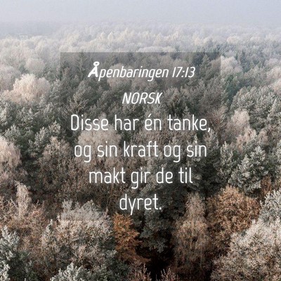 Picture 04 - Åpenbaringen 17:13 NORSK - Disse har én tanke, og sin kraft og sin makt gir - Bible Verse Picture