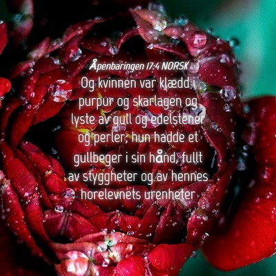 Picture 04 - Åpenbaringen 17:4 NORSK - Og kvinnen var klædd i purpur og skarlagen og - Bible Verse Picture