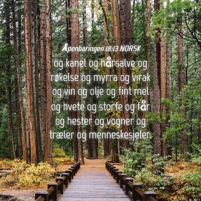 Picture 04 - Åpenbaringen 18:13 NORSK - og kanel og hårsalve og røkelse og myrra og - Bible Verse Picture