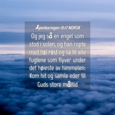Picture 04 - Åpenbaringen 19:17 NORSK - Og jeg så en engel som stod i solen, og han - Bible Verse Picture