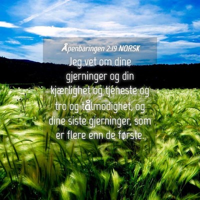 Picture 04 - Åpenbaringen 2:19 NORSK - Jeg vet om dine gjerninger og din kjærlighet og - Bible Verse Picture