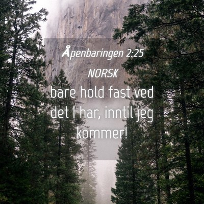 Picture 04 - Åpenbaringen 2:25 NORSK - bare hold fast ved det I har, inntil jeg - Bible Verse Picture