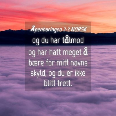 Picture 04 - Åpenbaringen 2:3 NORSK - og du har tålmod og har hatt meget å bære for - Bible Verse Picture