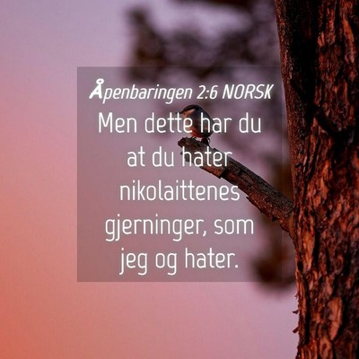 Picture 04 - Åpenbaringen 2:6 NORSK - Men dette har du at du hater nikolaittenes - Bible Verse Picture