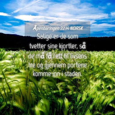 Picture 04 - Åpenbaringen 22:14 NORSK - Salige er de som tvetter sine kjortler, så de - Bible Verse Picture