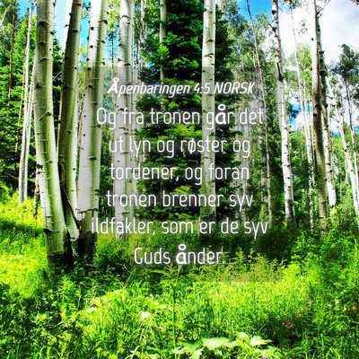Picture 04 - Åpenbaringen 4:5 NORSK - Og fra tronen går det ut lyn og røster og - Bible Verse Picture