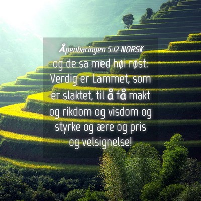 Picture 04 - Åpenbaringen 5:12 NORSK - og de sa med høi røst: Verdig er Lammet, som er - Bible Verse Picture