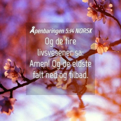 Picture 04 - Åpenbaringen 5:14 NORSK - Og de fire livsvesener sa: Amen! Og de eldste - Bible Verse Picture
