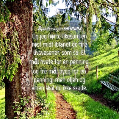Picture 04 - Åpenbaringen 6:6 NORSK - Og jeg hørte likesom en røst midt iblandt de - Bible Verse Picture