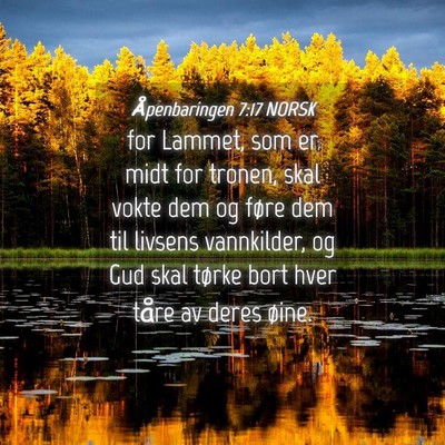 Picture 04 - Åpenbaringen 7:17 NORSK - for Lammet, som er midt for tronen, skal vokte - Bible Verse Picture