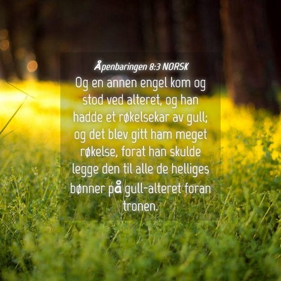 Picture 04 - Åpenbaringen 8:3 NORSK - Og en annen engel kom og stod ved alteret, og han - Bible Verse Picture