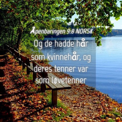 Picture 04 - Åpenbaringen 9:8 NORSK - Og de hadde hår som kvinnehår, og deres tenner - Bible Verse Picture