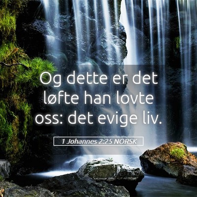 Picture 05 - 1 Johannes 2:25 NORSK - Og dette er det løfte han lovte oss: det evige - Bible Verse Picture