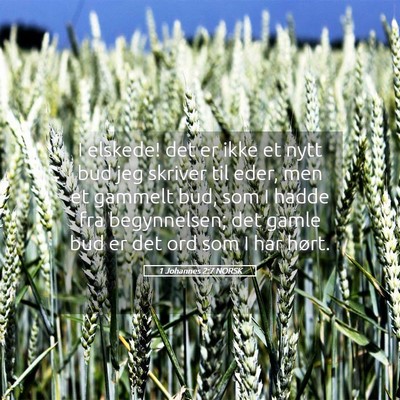 Picture 05 - 1 Johannes 2:7 NORSK - I elskede! det er ikke et nytt bud jeg skriver - Bible Verse Picture