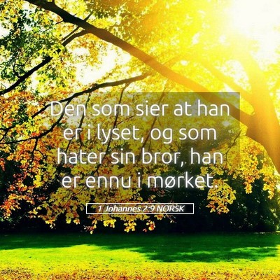Picture 05 - 1 Johannes 2:9 NORSK - Den som sier at han er i lyset, og som hater sin - Bible Verse Picture