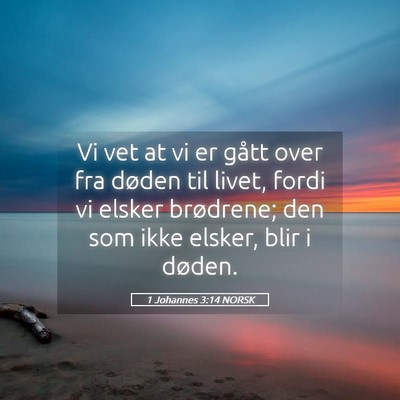 Picture 05 - 1 Johannes 3:14 NORSK - Vi vet at vi er gått over fra døden til livet, - Bible Verse Picture