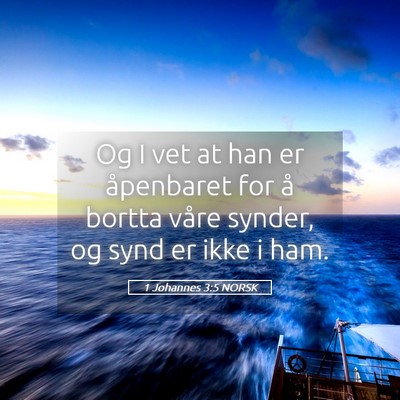 Picture 05 - 1 Johannes 3:5 NORSK - Og I vet at han er åpenbaret for å bortta våre - Bible Verse Picture