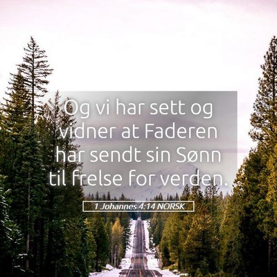 Picture 05 - 1 Johannes 4:14 NORSK - Og vi har sett og vidner at Faderen har sendt sin - Bible Verse Picture