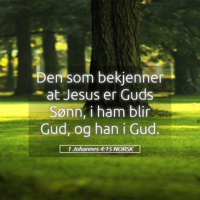 Picture 05 - 1 Johannes 4:15 NORSK - Den som bekjenner at Jesus er Guds Sønn, i ham - Bible Verse Picture