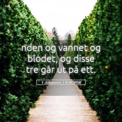 Picture 05 - 1 Johannes 5:8 NORSK - nden og vannet og blodet, og disse tre går ut - Bible Verse Picture