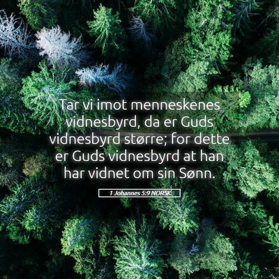 Picture 05 - 1 Johannes 5:9 NORSK - Tar vi imot menneskenes vidnesbyrd, da er Guds - Bible Verse Picture