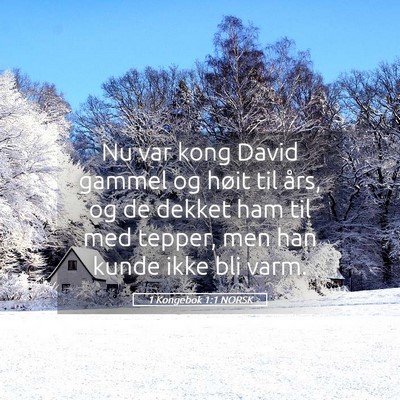 Picture 05 - 1 Kongebok 1:1 NORSK - Nu var kong David gammel og høit til års, og de - Bible Verse Picture