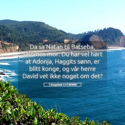 Picture 05 - 1 Kongebok 1:11 NORSK - Da sa Natan til Batseba, Salomos mor: Du har vel - Bible Verse Picture