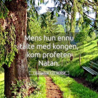 Picture 05 - 1 Kongebok 1:22 NORSK - Mens hun ennu talte med kongen, kom profeten - Bible Verse Picture