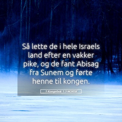 Picture 05 - 1 Kongebok 1:3 NORSK - Så lette de i hele Israels land efter en vakker - Bible Verse Picture