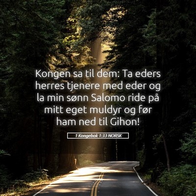 Picture 05 - 1 Kongebok 1:33 NORSK - Kongen sa til dem: Ta eders herres tjenere med - Bible Verse Picture