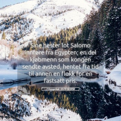 Picture 05 - 1 Kongebok 10:28 NORSK - Sine hester lot Salomo innføre fra Egypten; en - Bible Verse Picture