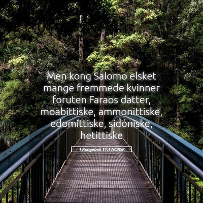Picture 05 - 1 Kongebok 11:1 NORSK - Men kong Salomo elsket mange fremmede kvinner - Bible Verse Picture