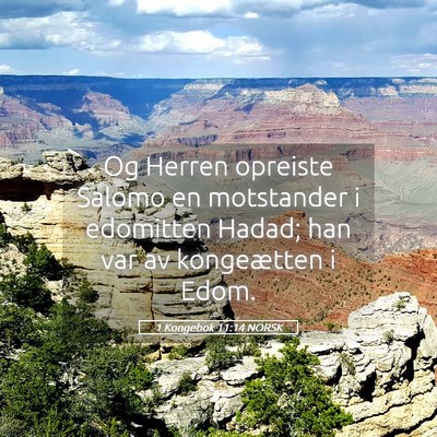 Picture 05 - 1 Kongebok 11:14 NORSK - Og Herren opreiste Salomo en motstander i - Bible Verse Picture