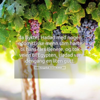 Picture 05 - 1 Kongebok 11:17 NORSK - da flyktet Hadad med nogen edomittiske menn som - Bible Verse Picture