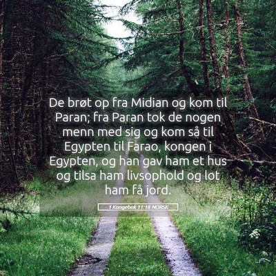 Picture 05 - 1 Kongebok 11:18 NORSK - De brøt op fra Midian og kom til Paran; fra - Bible Verse Picture