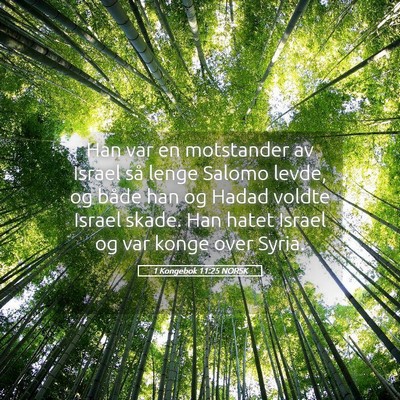 Picture 05 - 1 Kongebok 11:25 NORSK - Han var en motstander av Israel så lenge Salomo - Bible Verse Picture