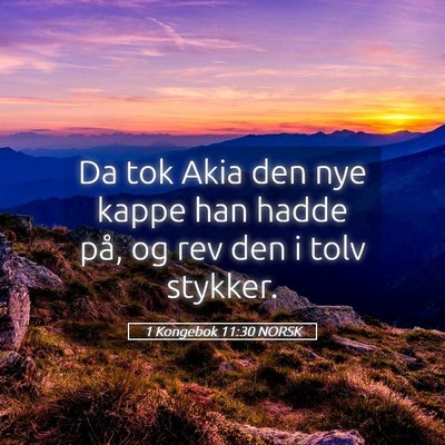 Picture 05 - 1 Kongebok 11:30 NORSK - Da tok Akia den nye kappe han hadde på, og rev - Bible Verse Picture