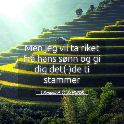 Picture 05 - 1 Kongebok 11:35 NORSK - Men jeg vil ta riket fra hans sønn og gi dig - Bible Verse Picture