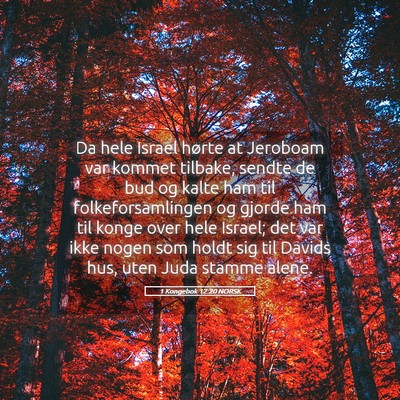 Picture 05 - 1 Kongebok 12:20 NORSK - Da hele Israel hørte at Jeroboam var kommet - Bible Verse Picture