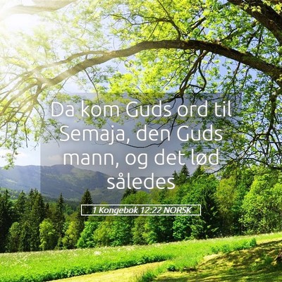 Picture 05 - 1 Kongebok 12:22 NORSK - Da kom Guds ord til Semaja, den Guds mann, og det - Bible Verse Picture
