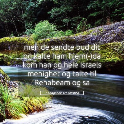 Picture 05 - 1 Kongebok 12:3 NORSK - men de sendte bud dit og kalte ham hjem(-)da kom - Bible Verse Picture