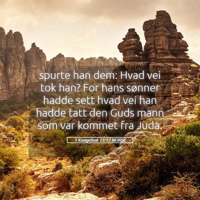 Picture 05 - 1 Kongebok 13:12 NORSK - spurte han dem: Hvad vei tok han? For hans - Bible Verse Picture