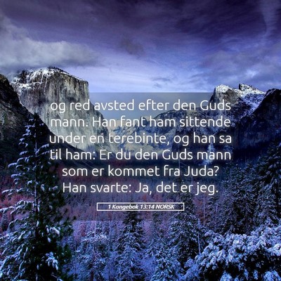 Picture 05 - 1 Kongebok 13:14 NORSK - og red avsted efter den Guds mann. Han fant ham - Bible Verse Picture