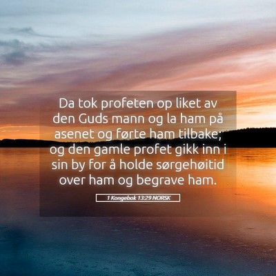 Picture 05 - 1 Kongebok 13:29 NORSK - Da tok profeten op liket av den Guds mann og la - Bible Verse Picture