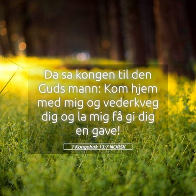 Picture 05 - 1 Kongebok 13:7 NORSK - Da sa kongen til den Guds mann: Kom hjem med mig - Bible Verse Picture