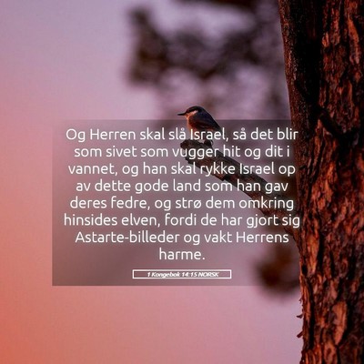 Picture 05 - 1 Kongebok 14:15 NORSK - Og Herren skal slå Israel, så det blir som - Bible Verse Picture