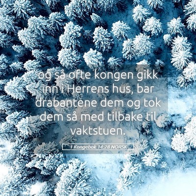 Picture 05 - 1 Kongebok 14:28 NORSK - og så ofte kongen gikk inn i Herrens hus, bar - Bible Verse Picture